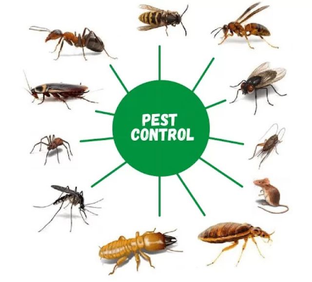 Pest Control